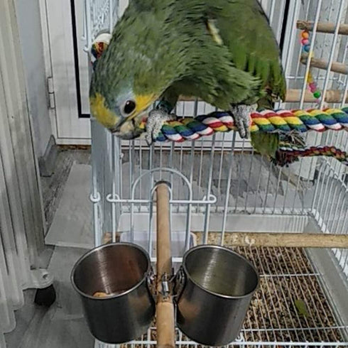 Parrot Feeding Cups - Stainless Steel Hanging Bowls for Small and Medium Birdcage Accessories