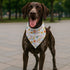 YJIKRTVT Easter Dog Bandana, Cute Bunny & Chick Triangle Pet Scarf, Colorful Easter Egg Spring Holiday Puppy Bib