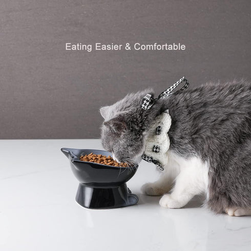 Nihow Elevated Cat/Dog Bowls: 5 Inch Ceramic Raised Food & Water Bowl Set, Elegant Gray for Protecting Pet's Spine (4.5
