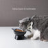Nihow Elevated Cat/Dog Bowls: 5 Inch Ceramic Raised Food & Water Bowl Set, Elegant Gray for Protecting Pet's Spine (4.5