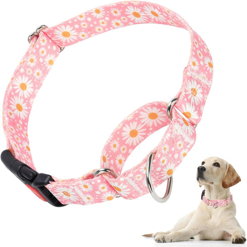 Pink Martingale Dog Collar with Daisy Flowers for Small Medium Large Dogs, Girl Dog Collars with Quick-Release Buckle