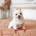 Dog Shoes & Paw Protector, Anti-Slip Sole Summer Dog Booties with Reflective Straps, 4PCS Red for Small Medium Dogs