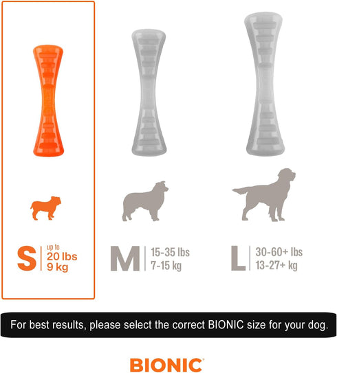 BIONIC Urban Stick Dog Toy, Small - Interactive Dog Chew Toy That Stands Up to The Toughest Chewers, for Dogs up to 20 lbs. (9 kg)