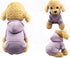 Jecikelon Winter Dog Hoodie Sweatshirts with Pockets Warm Clothes for Small Dogs Chihuahua Coat (X-Small, Purple)