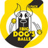 The Big Dog's Balls, Dog Tennis Balls, 3-Pack Yellow, 3 Inch Diameter for Training, Play, Exercise & Fetch