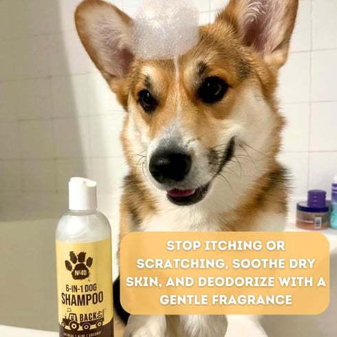 Natural Pet Shampoo No. 40 Premium 6 in 1 Oatmeal Shampoo for Dogs - Moisturize, Deodorize & Soothe Sensitive Skin