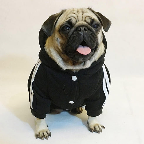 Cute Dog Hoodie Pajamas Tracksuit Coat for Winter, 4-Legs Black Clothing for Cat Puppy Small Medium Big Dogs (X-Small)