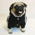 Cute Dog Hoodie Pajamas Tracksuit Coat for Winter, 4-Legs Black Clothing for Cat Puppy Small Medium Big Dogs (X-Small)