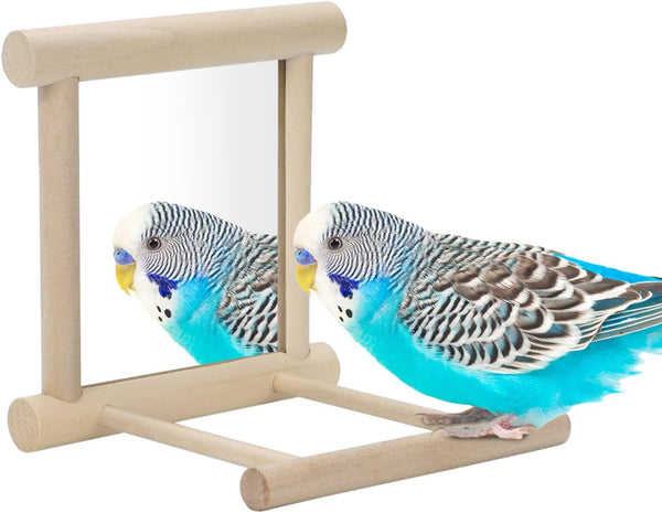Bird Mirror with Perch, Bird Toys for Parrots, Budgies, Cockatiels, Lovebirds, Finches, Canaries