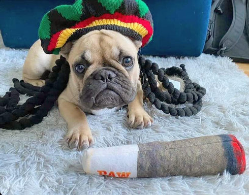 Funny Plush Squeaky Dog Toy - Nestpark Doggy Doobie for All Sizes