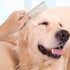 2 Pack Dog Combs with Rounded Ends, Stainless Steel Teeth for Grooming Long and Short Haired Pets