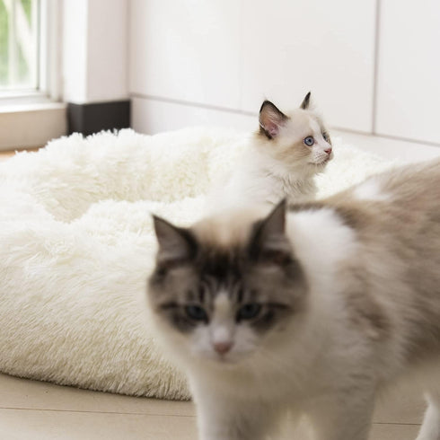 Anti Anxiety Round Fluffy Plush Faux Fur Dog Bed & Cat Bed, Original Bed for Small Medium Large Pets, Relieves Joints