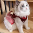 ANIAC Retro Dog Tulle Dress with Leash Ring, Spring Summer Puppy Clothes for Small Dogs (Red, X-Large)