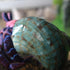 2pcs 1", (2pcs Medium Hermit Crab Shells, M Size Opening Natural Sea Conch, Turbo Seashells for Hermit Crab Supplies