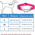 Martingale Dog Collar with Stainless Steel Chain, Reflective Adjustable Collar for Medium Large Dogs (S, Pink)