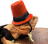 Lizard Costume with Sling Carrier, Bearded Dragon Clothing Adjustable Reptile Carrier Sling for Outdoor Walking (Orange