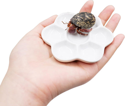 Neeenn 3 Pack Hermit Crab Food Bowl & Water Dish, Ceramic Hermit Crab Feeder Kit, Suitable for Hermit Crab Tarantula