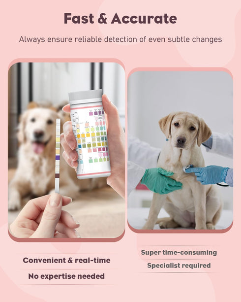 100 10 Pawfly Urine Test Strips for Dogs & Cats, Strips, Pet Urine Testing Strips for Parameters, UTI Test Strips