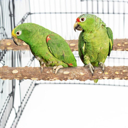 PINVNBY 3Pcs Bird Perches for Cage, Nature Wood Prickly Parrot Stand Toy for Small Medium Birds, Parakeet Cockatiel