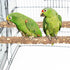 PINVNBY 3Pcs Bird Perches for Cage, Nature Wood Prickly Parrot Stand Toy for Small Medium Birds, Parakeet Cockatiel