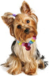 Pom Pom Dog Collar Elastic Cat Collar Decorative Plush Ball Puppy Necklace Eye-catching Pom Pom Pet Collar Necklace with Bell for Taking Photos, Walking, Outdoor Sports (XXL, Red Pink)