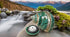 1PC Shell(3.1Inch ~4Inch),Used (1PC) Natural Large Hermit Crab Shells Turbo Shells Jade Green Banded Turbo as Hermit