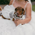 Hollow Dog Wedding Dress Tutu Skirt, Luxury Lace Pearl Bow Christmas Dress Costume for Small Dog (S, White)