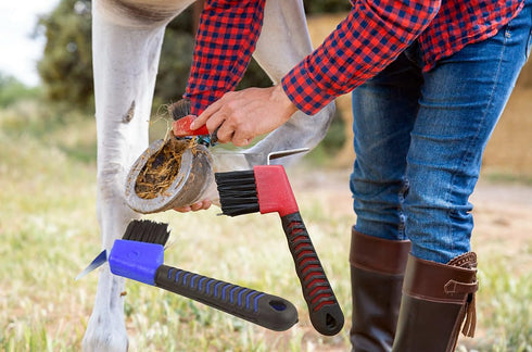 WHZAZGW 2 Pieces Horse Hoof Pick Brush with Soft Touch Rubber Handle, Portable Hoofpick in Random Colors