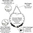 Herm Sprenger Prong Collar for Dog Training, Chrome Plated Steel, 2.25mm Prongs, Small Dogs (14-19")
