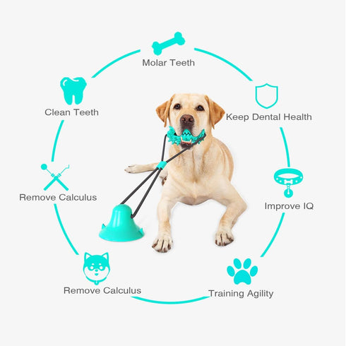 Guardians Dog Chew Toy with Suction Cup, Food Dispensing Toothbrush for Small Medium Dogs (Blue Cactus)