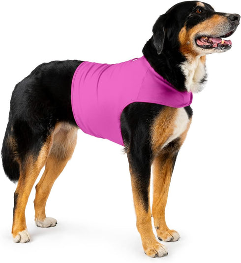 Dog Anxiety Calming Wrap - X-Large, Radiant Orchid
