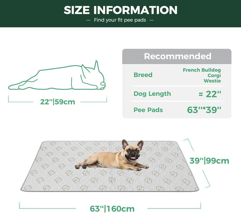 24inch 6 39" 63" 1 Pack FXW Washable Pee Pads for Dogs, Puppy Pads with Super Absorbent, Specifically Designed for FXW