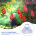 Senmubery 12 Pcs Stand,Fish Tank Vacuum Suction Cups with for Plants on Glass Windshield Tile,Etc