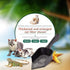 Cat Scooper Fine Sand Sifter Kitty Litter Scoop with Pointed End for Pet Reptile Terrarium