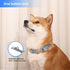 Adjustable Pet Collar with Metal Buckle, Cute Colors for Small Medium Large Dogs, Breathable Soft (Medium, Red Blue)