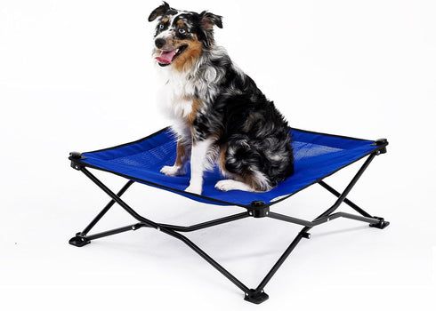 Coolaroo On The Go Cooling Elevated Dog Bed, Portable for Travel & Camping, Collapsible Storage, Medium, Aquatic Blue