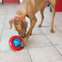 KONG Gyro - Interactive Dog Toy for Treat Dispensing - Dog Slow Feeder for Healthy Eating - for Medium/Large Dogs