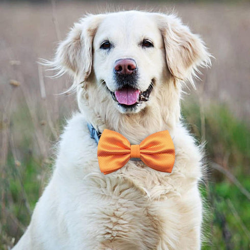 PET SHOW Large Dogs Collar Attachment Bow Ties, Embellishment for Medium Dogs, Cats, Birthday Wedding Parties