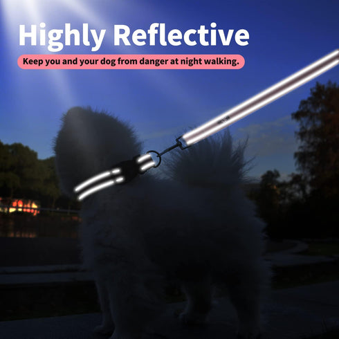 IVY&LANE Adjustable Reflective Dog Collar and Leash Set, Neoprene Padded for Small Medium Large Dogs, 5FT Nylon Leash