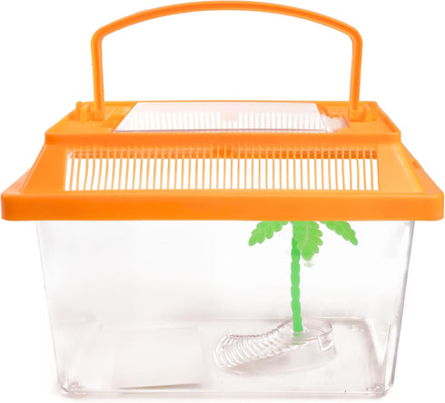 Needzo Ultimate All-in-One Hermit Crab Starter Kit, Neon Plastic Cage, Thermometer, Food, Treats, Trainer Bottle