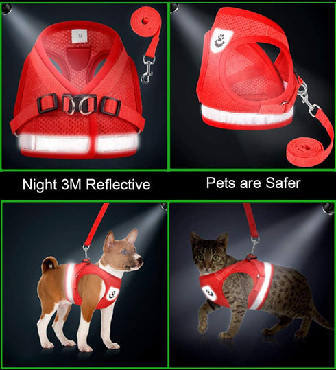 Cat and Puppy Harness with Leashes Set, Escape Proof Adjustable Reflective Soft Mesh Vest for Outdoor Harness