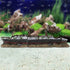 Titanic Submersible Model Wrecked Boat Ship Aquarium Decoration Ornament, 24×10×9 Inch