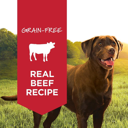 13.2 (Pack 6) Instinct Original Wet Dog Food, Grain Free Recipe - Real Beef, Ounce