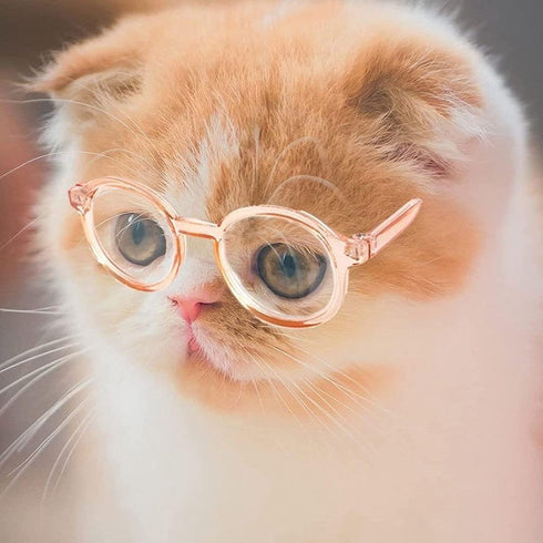 Retro Clear Lens Pet Dog Glasses, Transparent Sun Glasses for Small Dogs and Cats, Cosplay Accessories (Pink)