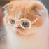 Retro Clear Lens Pet Dog Glasses, Transparent Sun Glasses for Small Dogs and Cats, Cosplay Accessories (Pink)