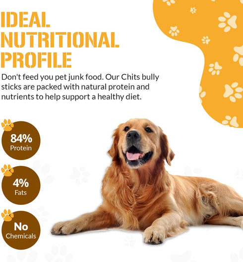 Dog Chits Bully Sticks for Dogs and Puppies | 6-inch, 20 Pack | Natural Healthy Long Lasting Chew Treats