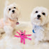 Snuggle Puppy Tender-Tuffs Small Dog Toy, Pink Plush Octopus for Small Breeds with Squeaker
