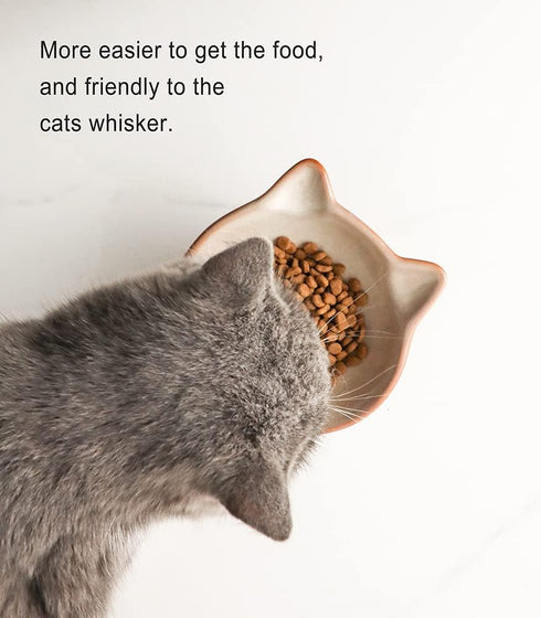 Nihow Elevated Cat/Dog Bowls: 5 Inch Ceramic Raised Food & Water Bowl Set, Elegant Brown for Protecting Pet's Spine
