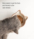 Nihow Elevated Cat/Dog Bowls: 5 Inch Ceramic Raised Food & Water Bowl Set, Elegant Brown for Protecting Pet's Spine