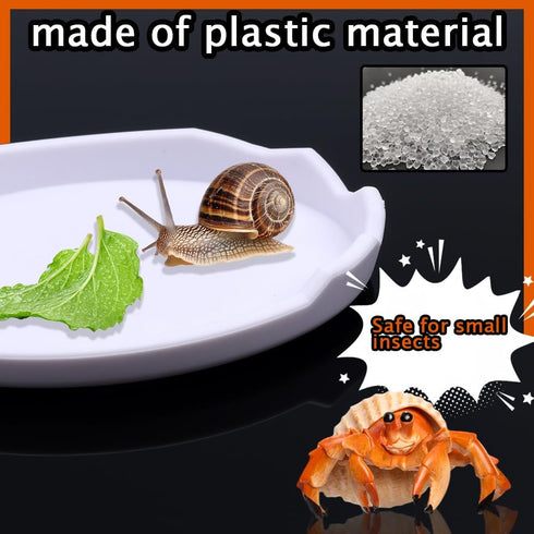 DQITJ 2 Pcs Snail Water and Food Bowl Hermit Crab Feeding Dish for Snail Crab Millipede Cricket Tarantula Insect